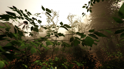 The Forest игра