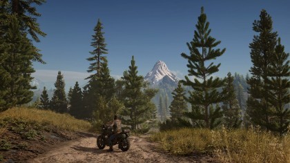 Days Gone игра