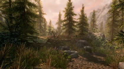 The Elder Scrolls V: Skyrim Special Edition игра