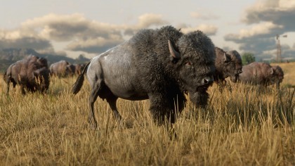 игра Red Dead Redemption 2