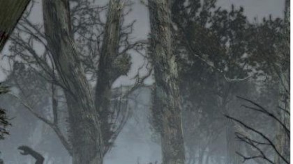 Two Worlds II скриншоты