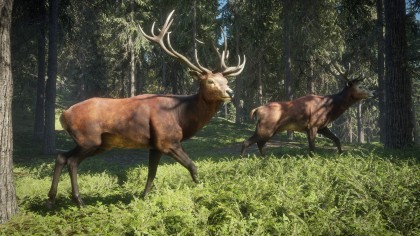 theHunter: Call of the Wild игра