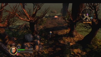 Dungeon Siege III скриншоты