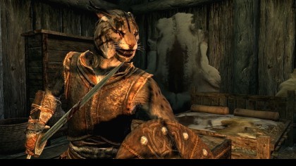 The Elder Scrolls V: Skyrim игра