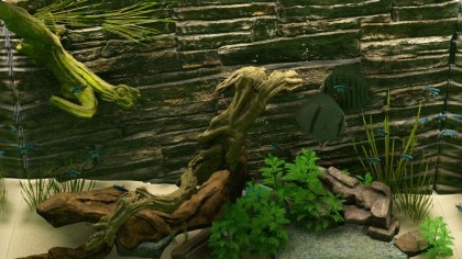 Biotope игра