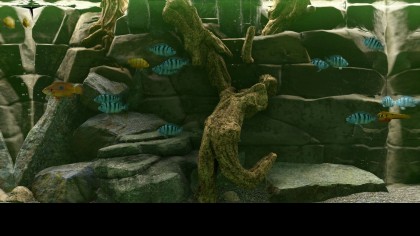 Biotope скриншоты