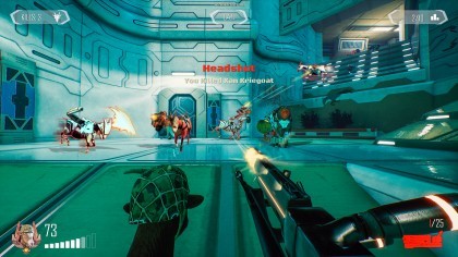 Goat of Duty игра