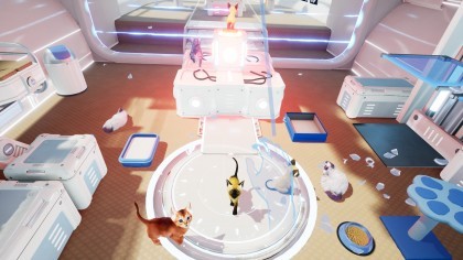 Kitten'd игра
