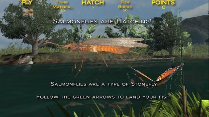 Fishing on the Fly игра