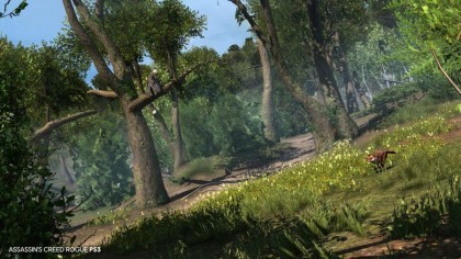 Assassin’s Creed Rogue Remastered скриншоты
