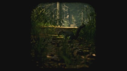 Morels: The Hunt игра
