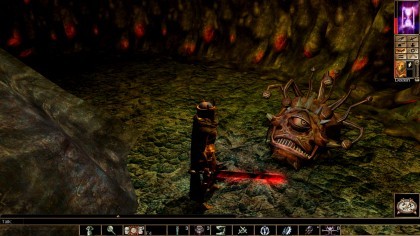 Neverwinter Nights: Enhanced Edition игра