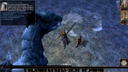 Neverwinter Nights: Enhanced Edition игра