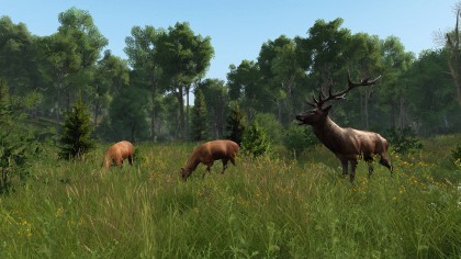 DayZ Livonia игра