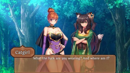 After I met that catgirl, my questlist got too long! игра