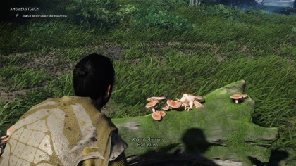 Ghost of Tsushima скриншоты