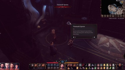 Baldur's Gate 3 скриншоты