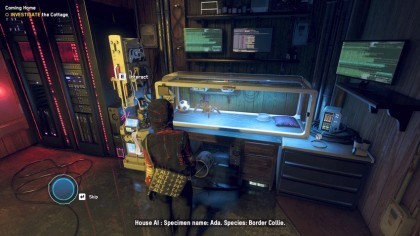 Watch Dogs: Legion игра