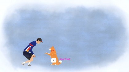 A Shiba Story игра
