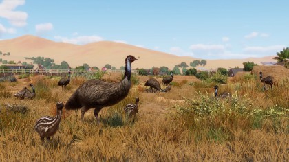 Planet Zoo: Grasslands игра