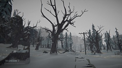 The Long Dark: Tales from the Far Territory игра