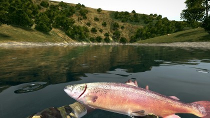 Ultimate Fishing Simulator игра