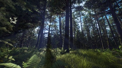 Way of the Hunter - Aurora Shores игра