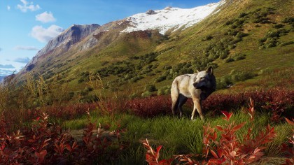 Way of the Hunter - Aurora Shores игра