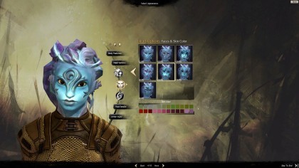Guild Wars 2 игра