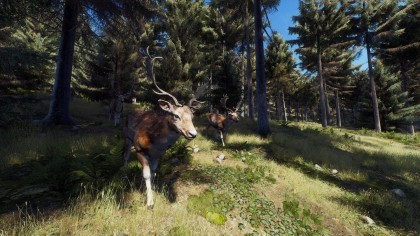 Way of the Hunter скриншоты