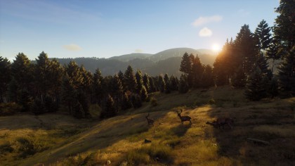 Way of the Hunter скриншоты