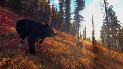 Way of the Hunter скриншоты