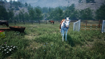 Ranch Simulator игра