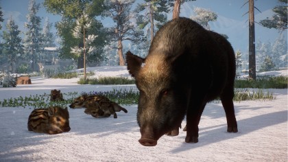 Planet Zoo: Eurasia игра
