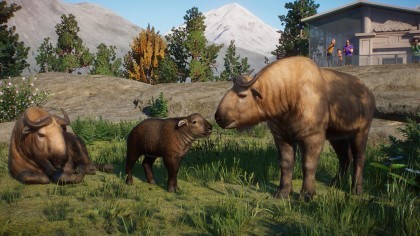 Planet Zoo: Eurasia игра