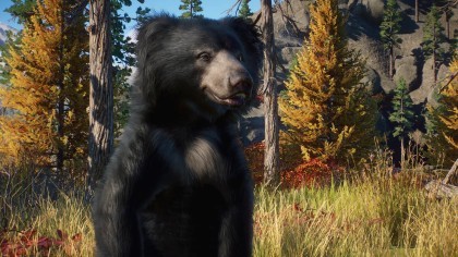 Planet Zoo: Eurasia скриншоты