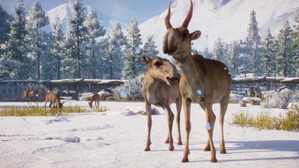 Planet Zoo: Eurasia скриншоты