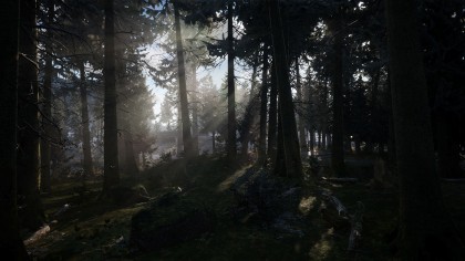 Winter Survival игра