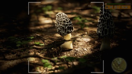Morels: The Hunt 2 игра