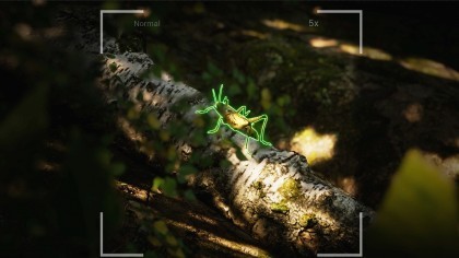 Morels: The Hunt 2 скриншоты