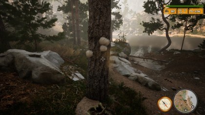 Morels: The Hunt 2 скриншоты