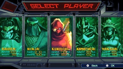The Ninja Saviors: Return of the Warriors игра