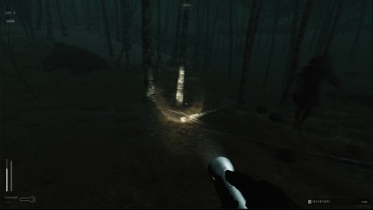 Descending The Woods игра