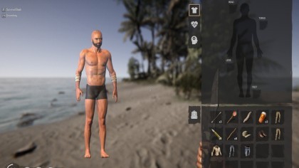 Project Castaway игра