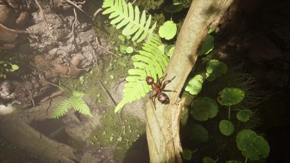 Empire of the Ants скриншоты