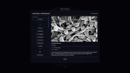 Petrix скриншоты