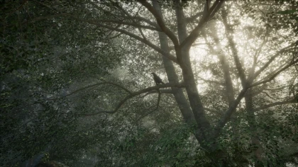 Obey the Rules: Forest скриншоты