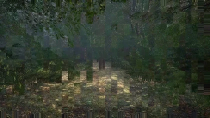 Obey the Rules: Forest скриншоты