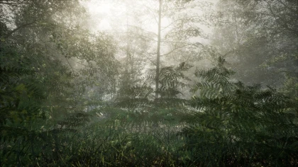 Obey the Rules: Forest скриншоты
