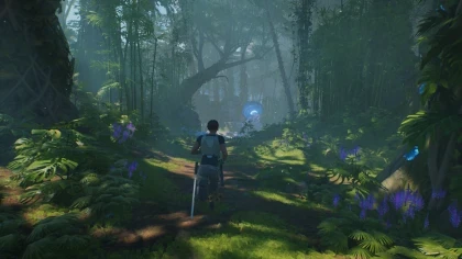Wild Life игра